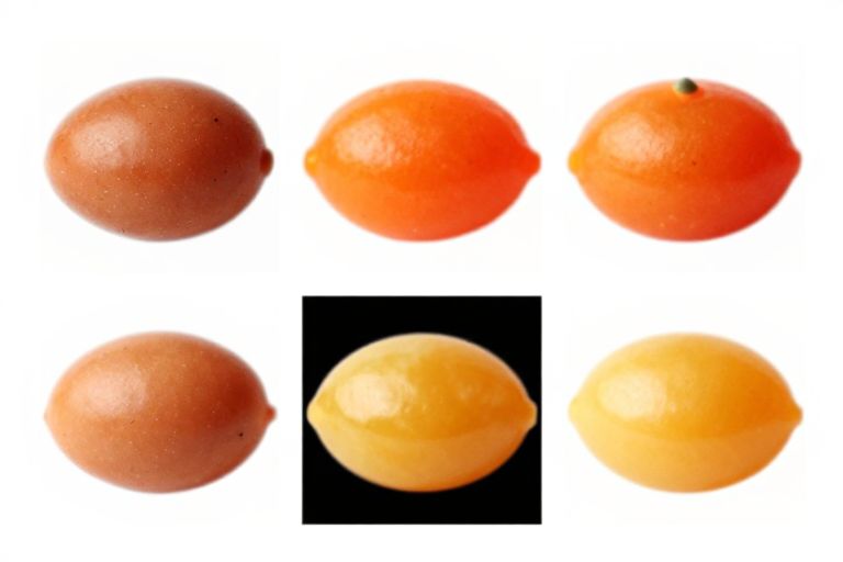 Popular meat & seafood recipes on pinterest - This guide pulls together the core techniques and flavors that make those pins go viral, then turns